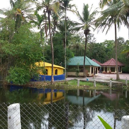 Coorg Anekad Jungle Stay Kushālnagar Exterior foto