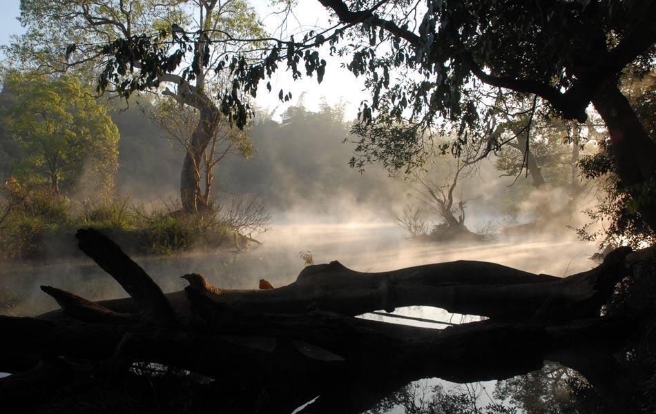 Coorg Anekad Jungle Stay Kushālnagar Exterior foto
