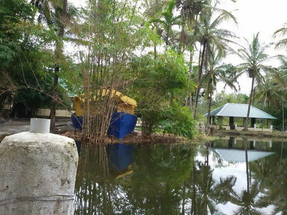 Coorg Anekad Jungle Stay Kushālnagar Exterior foto